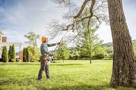 Best Commercial Tree Services  in Munhall, PA